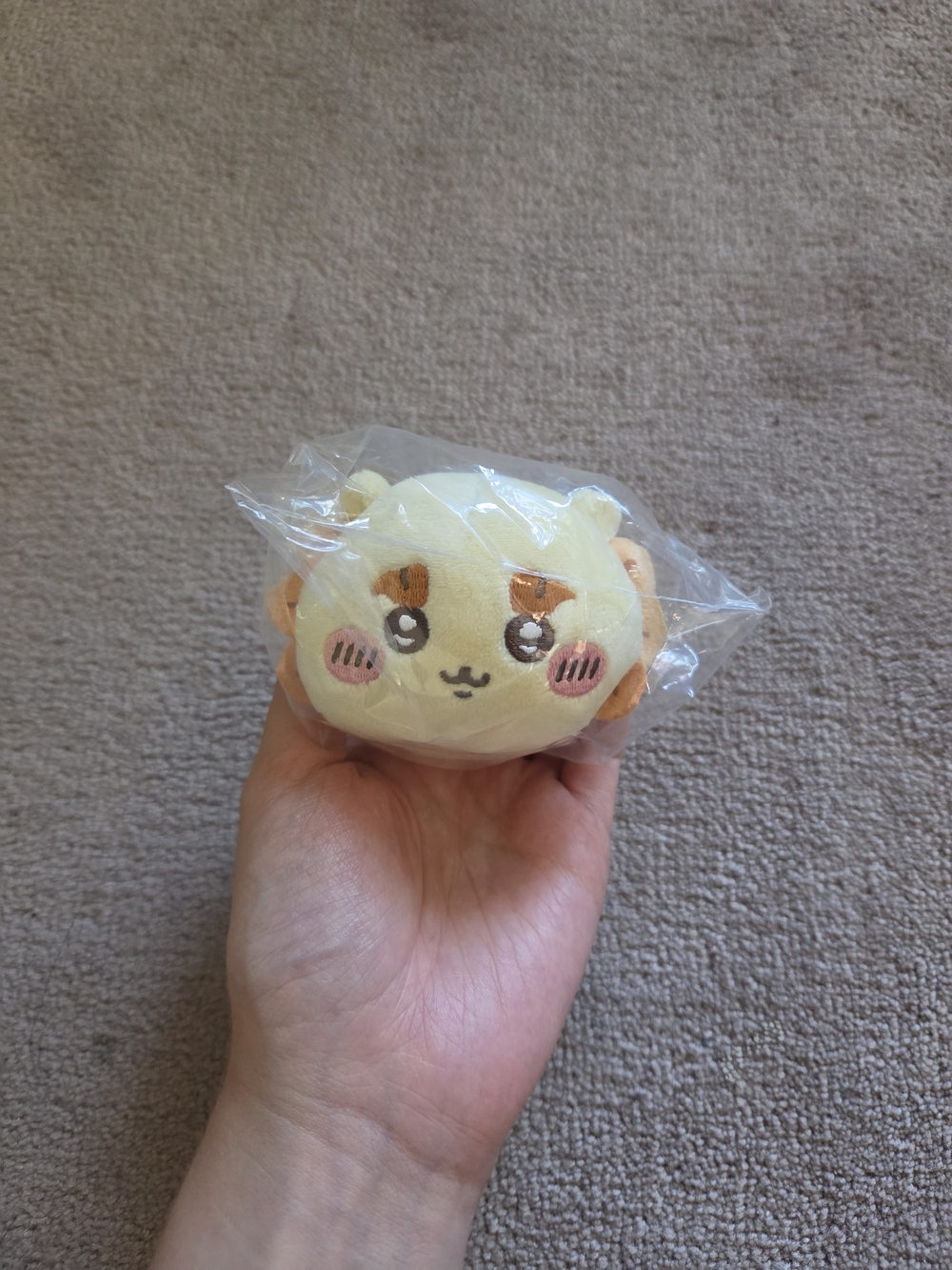 Nagano Chiikawa shisa plushy